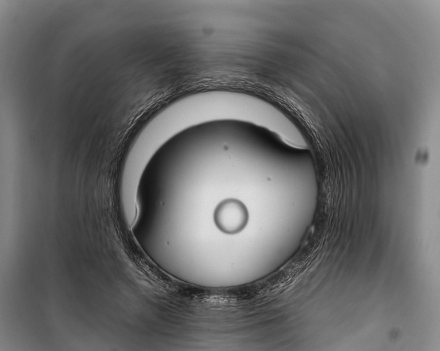 X0000099230546200805151632