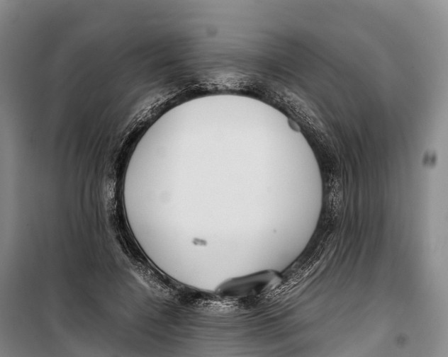 X0000099230548200805151632