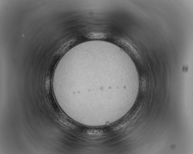 X0000099230549200805151632