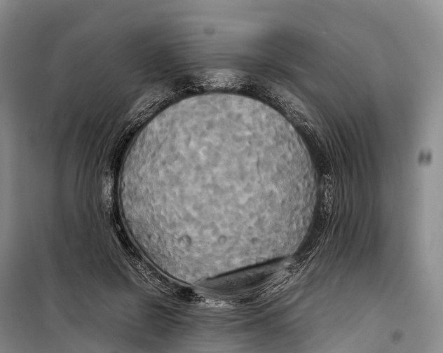 X0000099230550200805151632