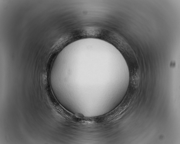 X0000099230552200805151632