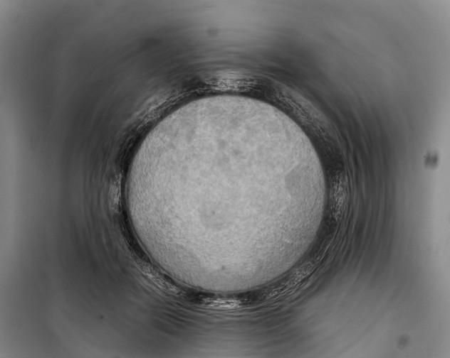 X0000099230554200805151632