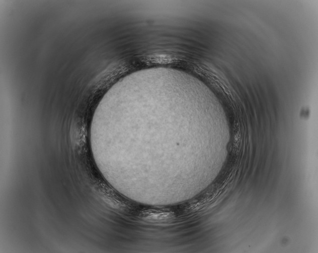 X0000099230555200805151632