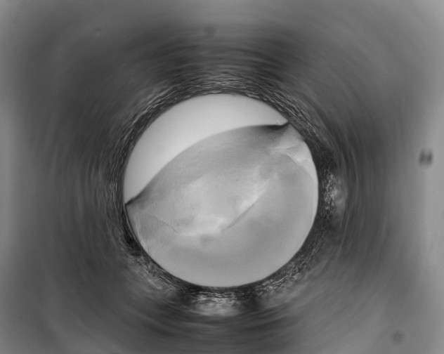 X0000099230559200805151632