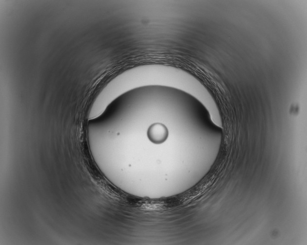 X0000099230560200805151632