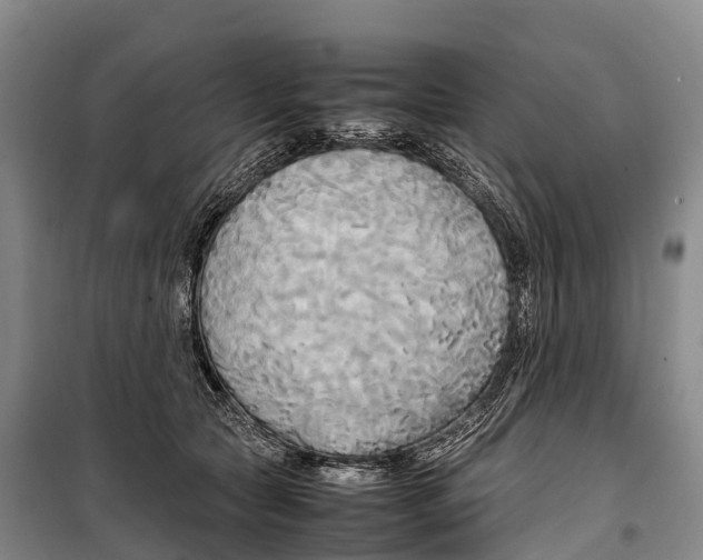 X0000099230561200805151632