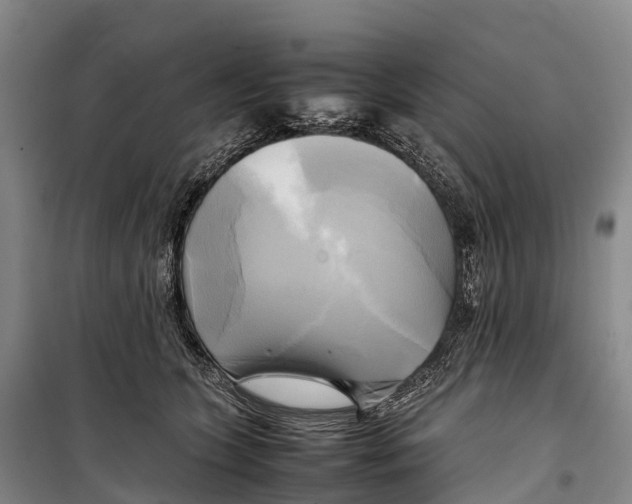 X0000099230563200805151632