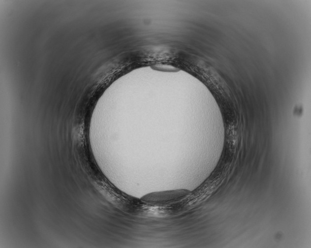 X0000099230564200805151632