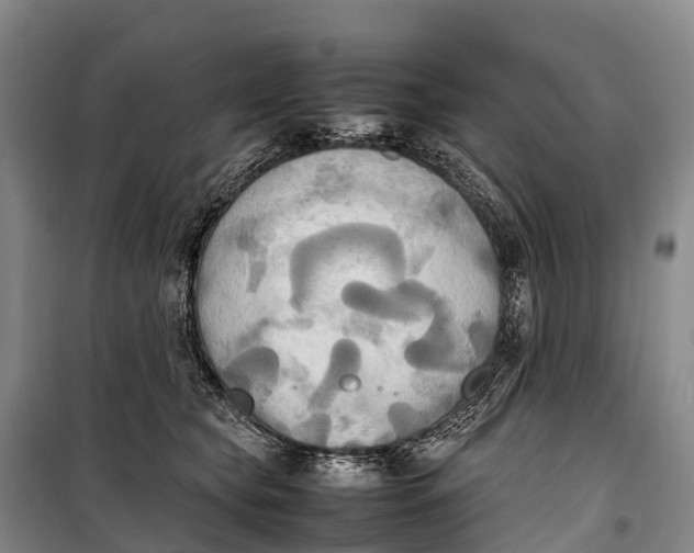 X0000099230565200805151632