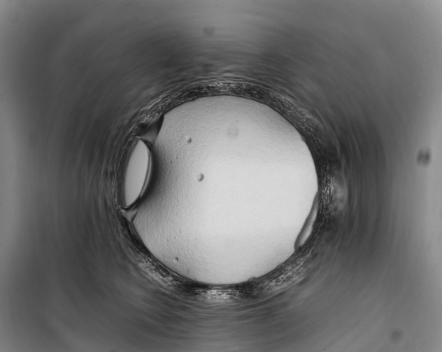 X0000099230566200805151632