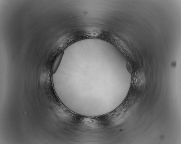 X0000099230568200805151632