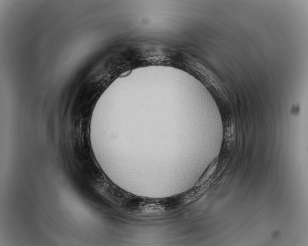 X0000099230572200805151632