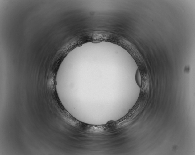 X0000099230573200805151632