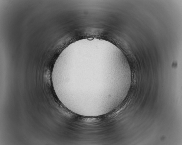 X0000099230575200805151632