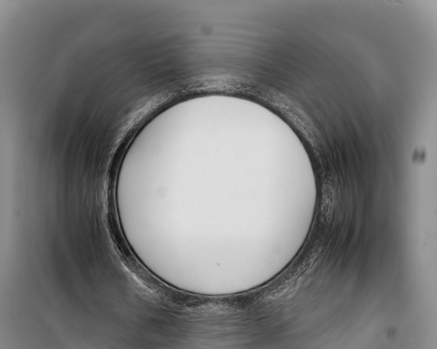 X0000099230578200805151631