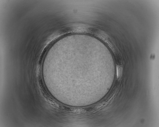 X0000099230579200805151631