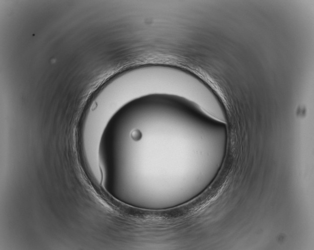 X0000099230581200805151631