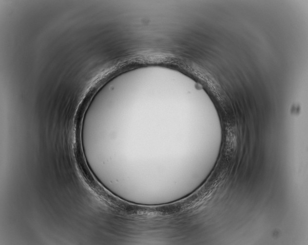 X0000099230582200805151631