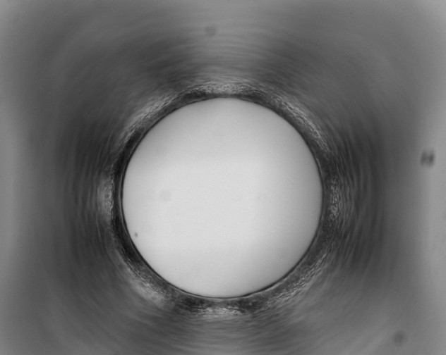 X0000099230586200805151631