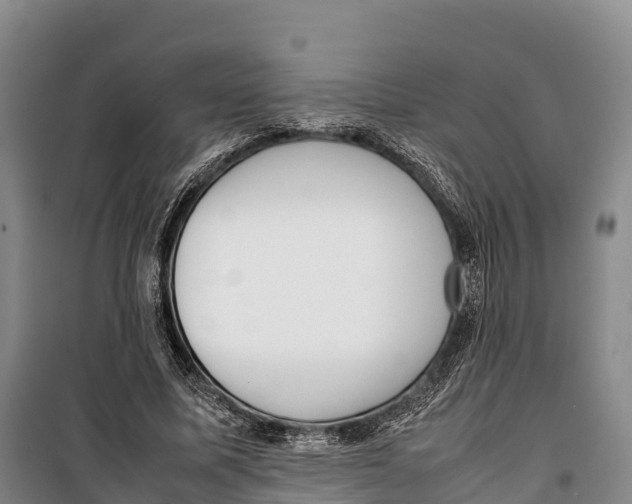 X0000099230587200805151631