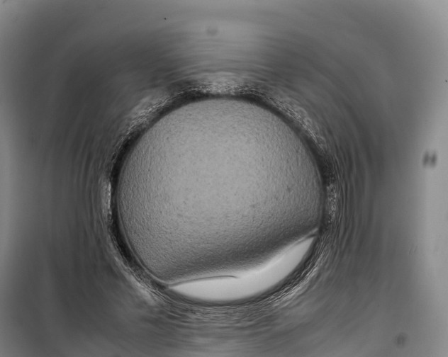 X0000099230589200805151631