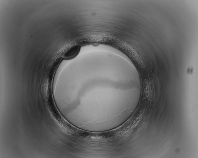 X0000099230590200805151631