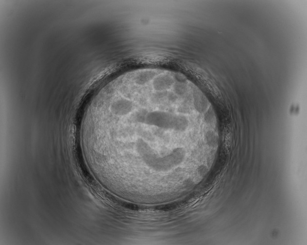 X0000099230591200805151631