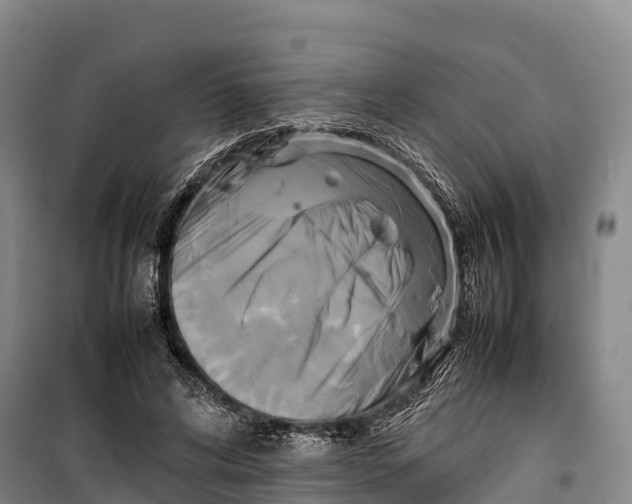 X0000099230592200805151631