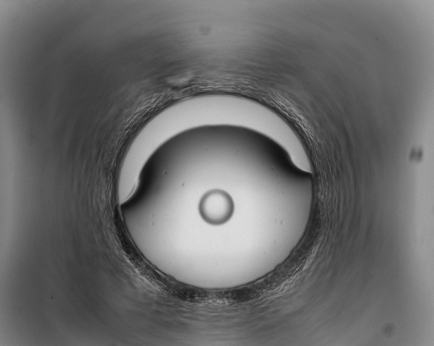 X0000099230593200805151631