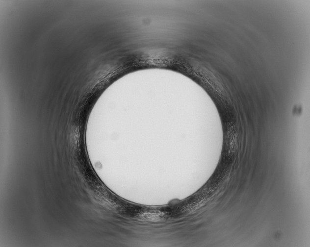 X0000099230595200805151631