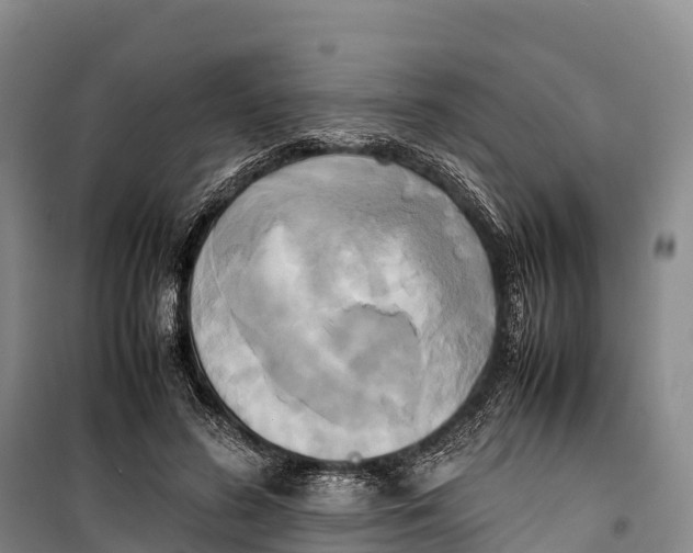 X0000099230596200805151631