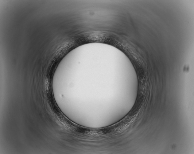 X0000099230597200805151631