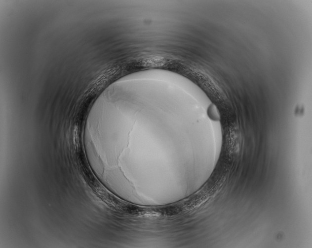 X0000099230598200805151631