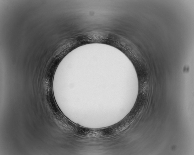 X0000099230599200805151631