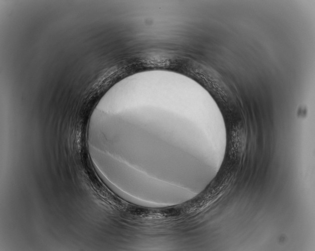 X0000099230600200805151631