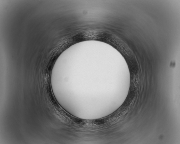 X0000099230601200805151631