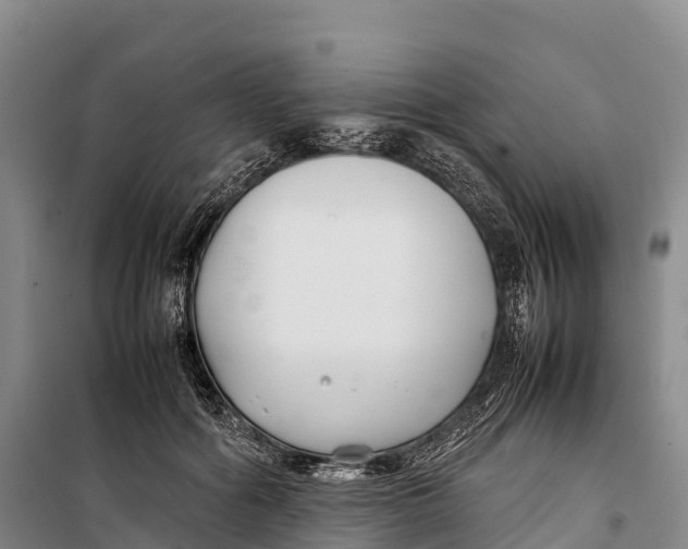 X0000099230602200805151631