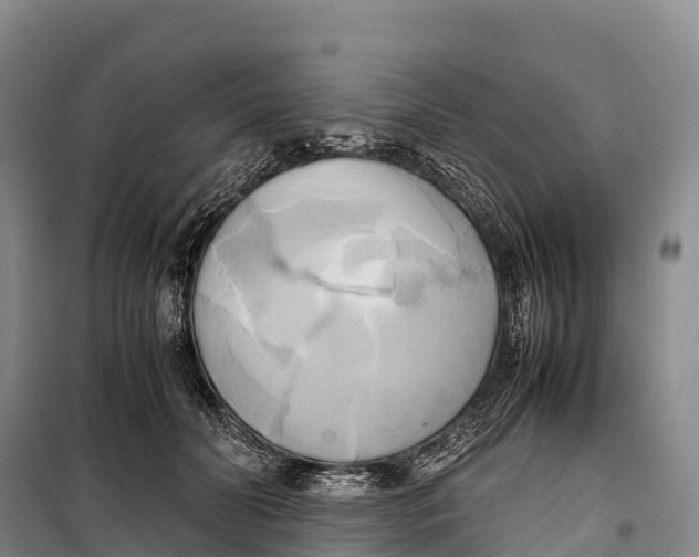 X0000099230606200805151631