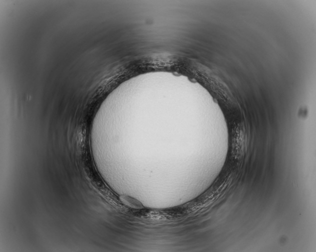 X0000099230608200805151631