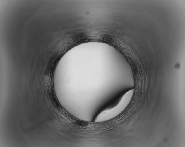 X0000099230609200805151631