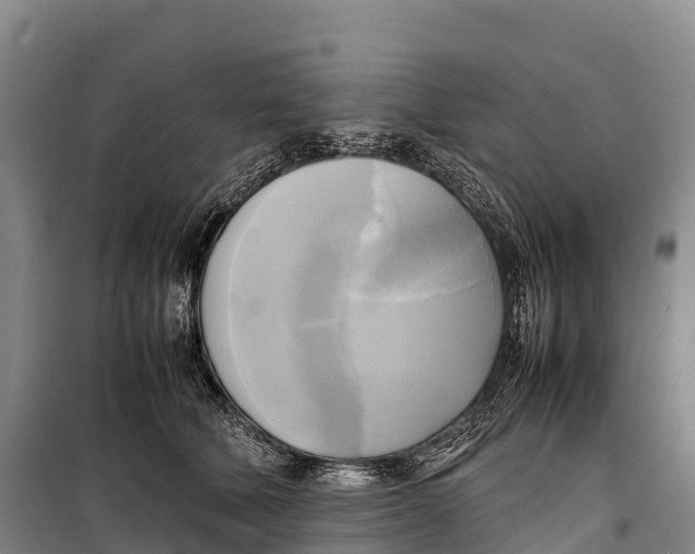 X0000099230610200805151631