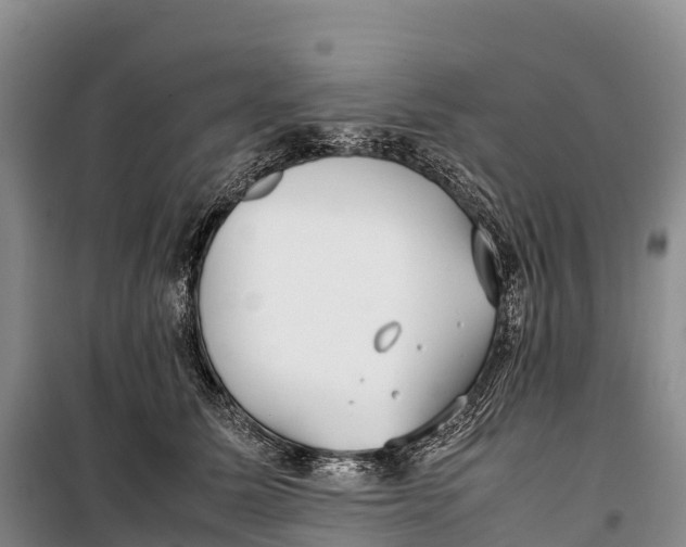 X0000099230611200805151631