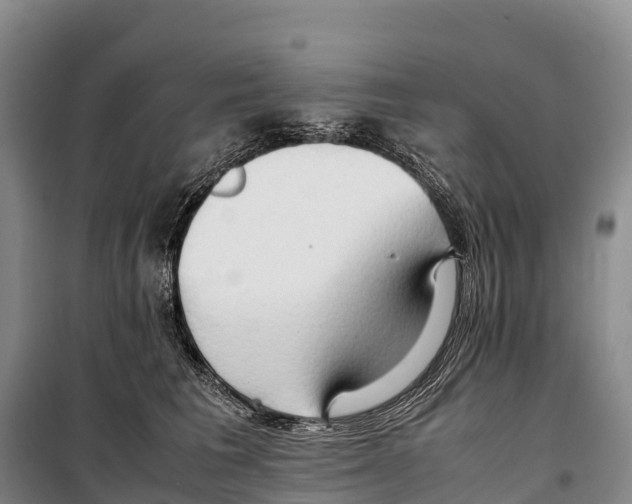 X0000099230613200805151631