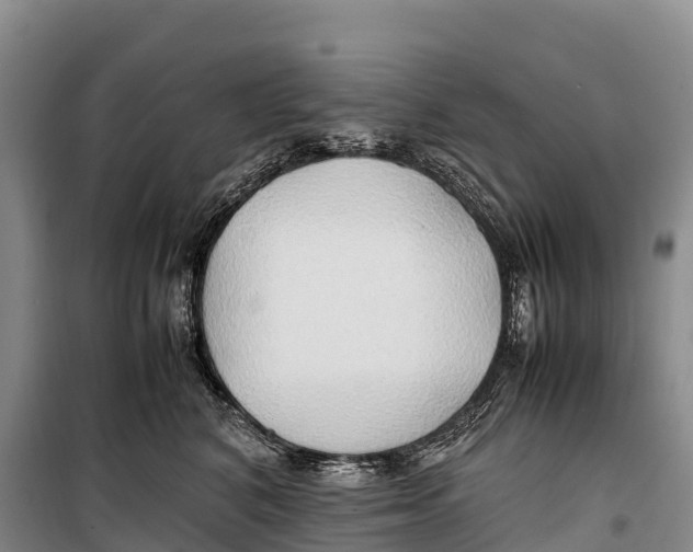 X0000099230616200805151631