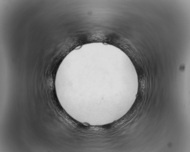 X0000099230617200805151631