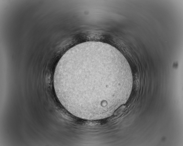 X0000099230619200805151631