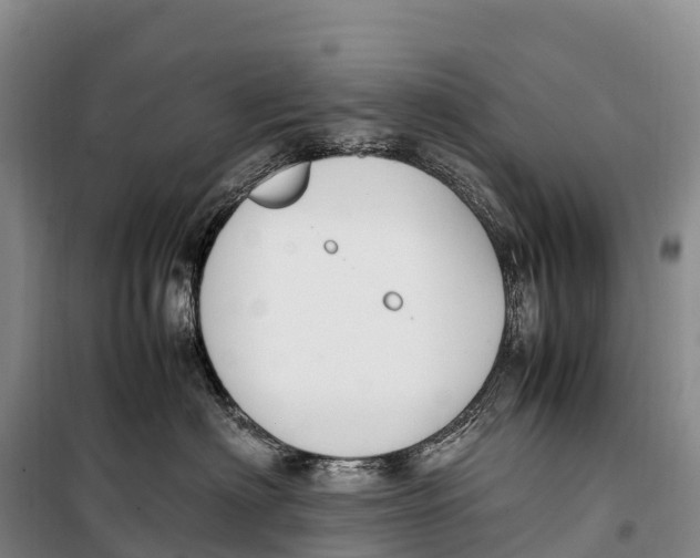 X0000099230622200805151631