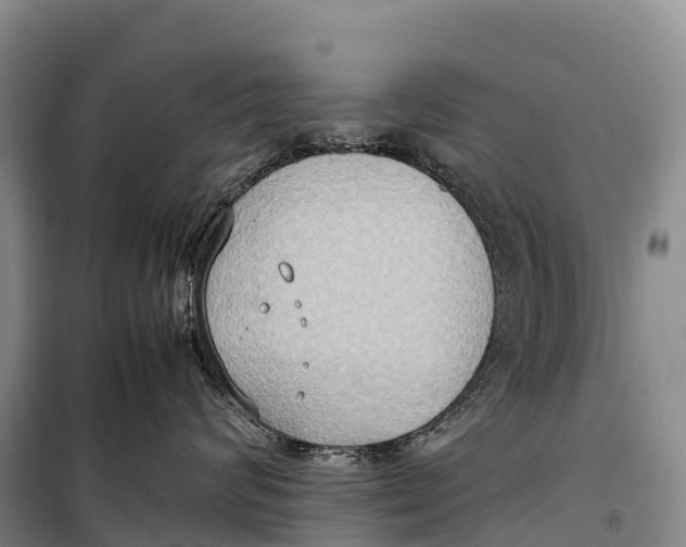 X0000099230624200805151631