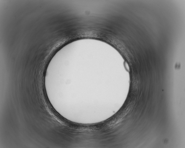 X0000099230625200805151630