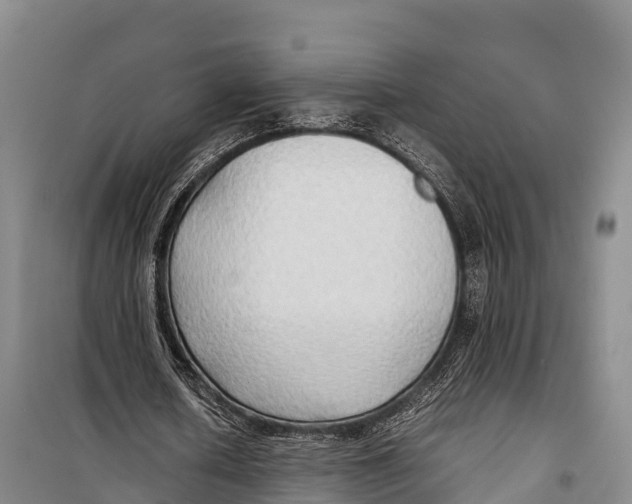 X0000099230626200805151630